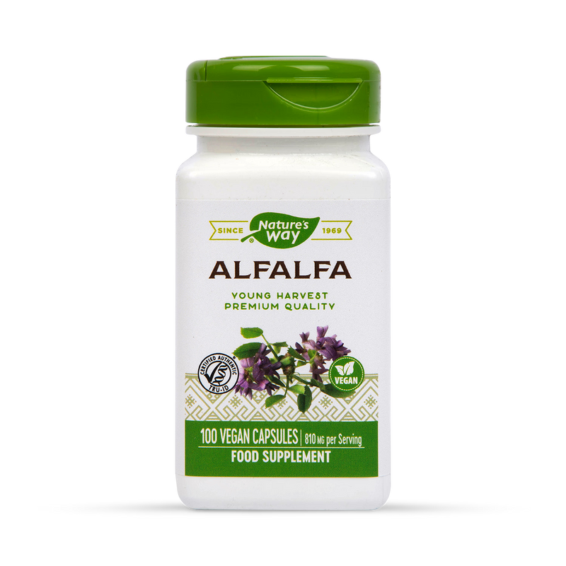 Alfalfa Leaf, Flower and Stem Dietary Supplement 100 Capsules