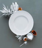 Bernardaud Ecume dinner plate 26cm (British brand)
