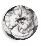 Fornasetti Tema e Variazioni No. 92 wall plate 26cm, imported from the UK