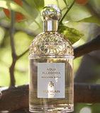 Guerlain Mandarine Basilic Eau de Toilette 75ml, imported from the UK
