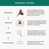 Together Health Iodine Supplement – Organic – 30 Capsules GOODS Superdrug