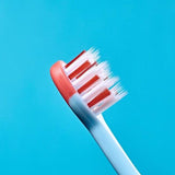 Brush Baby Dinosaur FlossBrush Toothbrushes 3-6 Years - British product