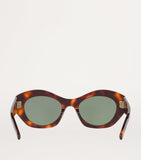 Saint Laurent acetate sunglasses model 0YS000519 - British product