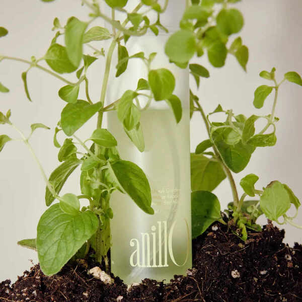 anillO Patchouli Garden Damage Repair Hair Mist 70ml (British brand)