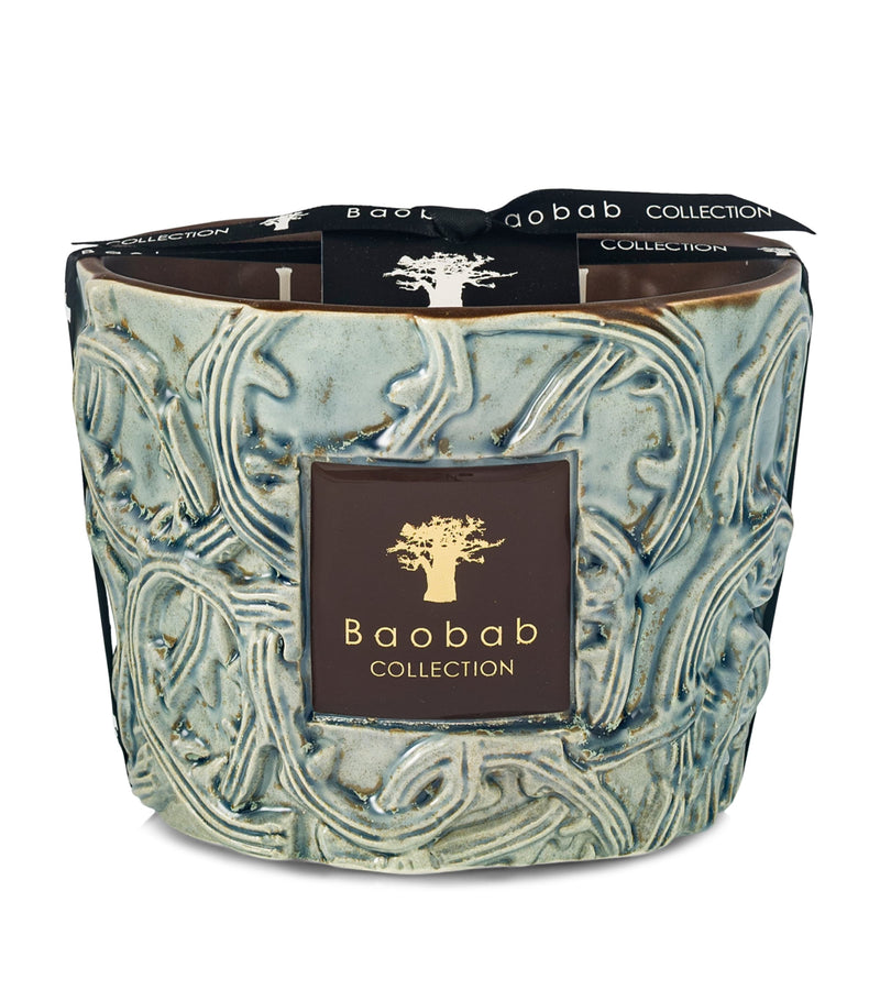 Baobab Collection Sylvanus candle 500g - British product