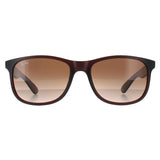 Ray-Ban Andy 4202 brown gradient men sunglasses, UK version