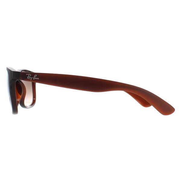 Ray-Ban Andy 4202 brown gradient men sunglasses, UK version