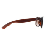 Ray-Ban Andy 4202 brown gradient men sunglasses, UK version