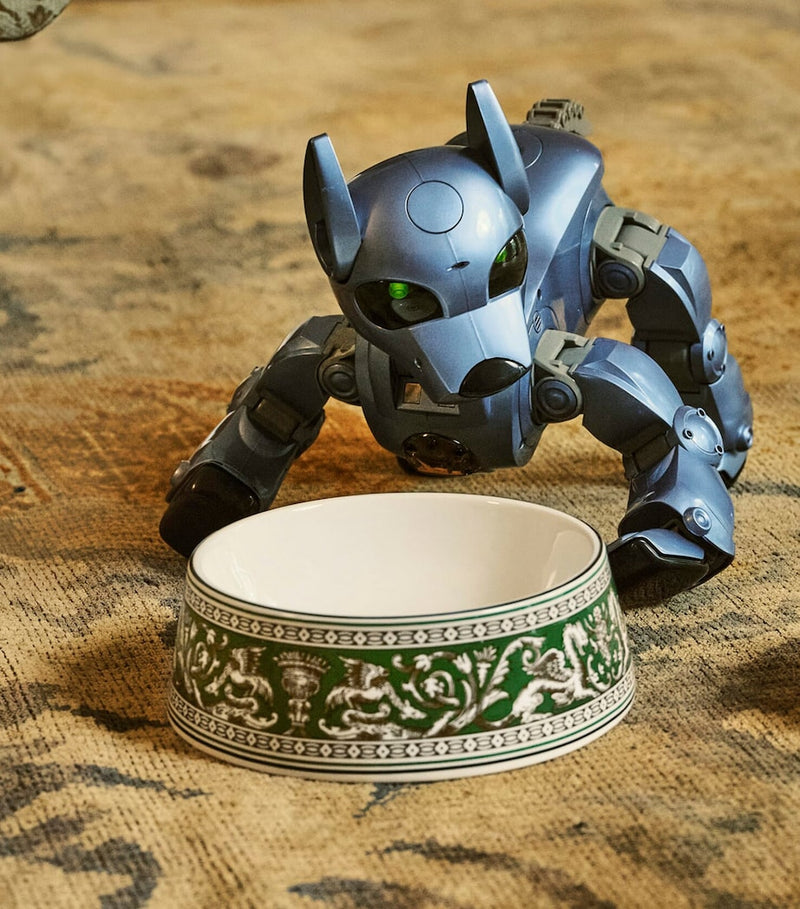 Wedgwood Florentine pet bowl 21cm, UK version