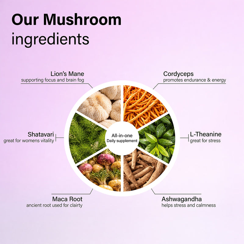 Dr Fungi Vitality Mushroom Superblend - British product