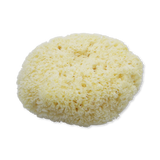 Holland & Barrett SpongeBox Nature's Touch Sheep Wool Body & Bath Sea Sponge 6-6.5 Inches- Buy online at McGrocer