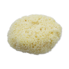 SpongeBox natural sea sponge 6-6.5 inches (British brand)
