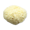 SpongeBox natural sea sponge 6-6.5 inches (British brand)