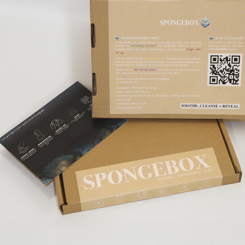 SpongeBox natural sea sponge 6-6.5 inches (British brand)