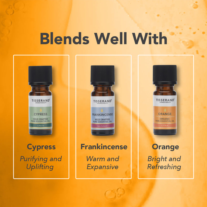 Tisserand Petitgrain Pure Essential Oil 9ml, imported from the UK