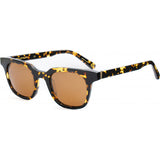 Belstaff BOORMAN brown sunglasses, imported from the UK
