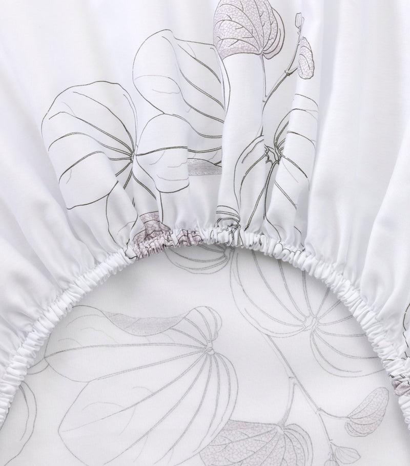 Yves Delorme Floral Orchidee single fitted sheet 90cm x 200cm (British brand)