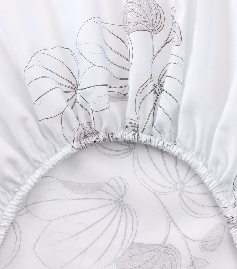 Yves Delorme Floral Orchidee single fitted sheet 90cm x 200cm (British brand)