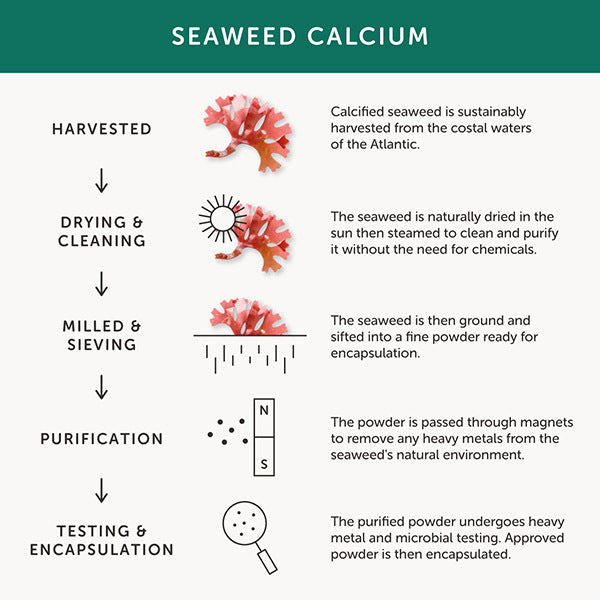 Together Health Calcium – Calcium Supplement – 60 Capsules GOODS Superdrug