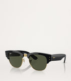 Ray-Ban Propionate sunglasses 0RB0316S - British product