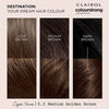 Clairol Colour Strong medium golden brown hair dye - British product
