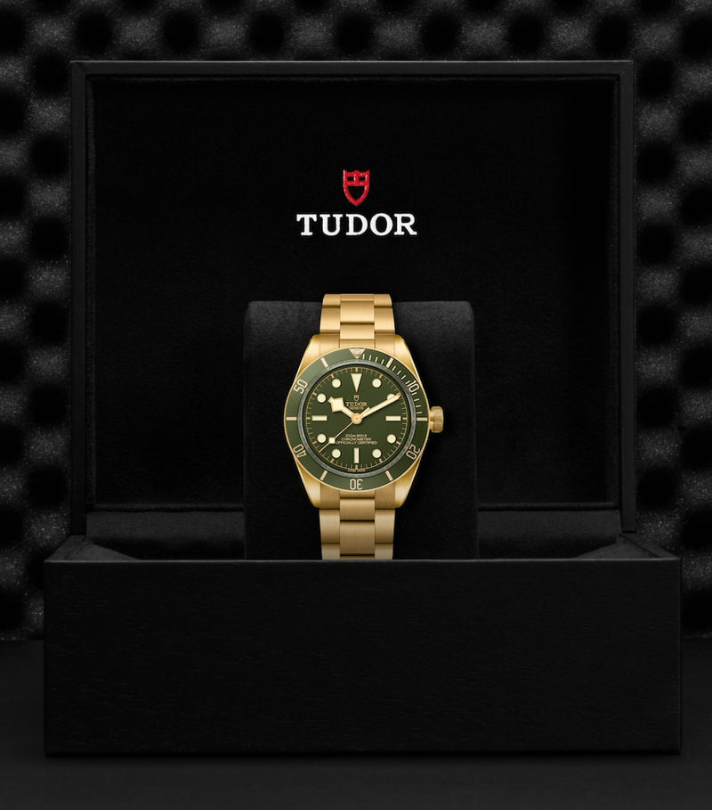 TUDOR Black Bay Yellow Gold 39mm watch, UK version