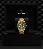 TUDOR Black Bay Yellow Gold 39mm watch, UK version