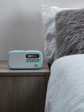 VQ Antique Rose Dexter DAB radio - British product