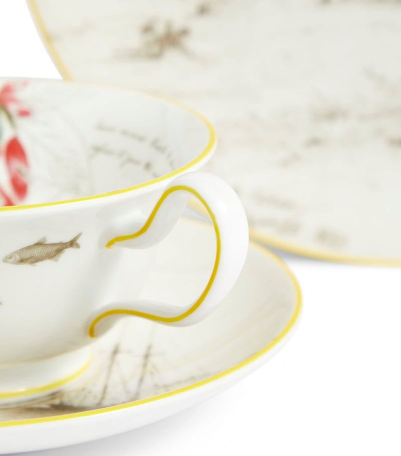 Wedgwood bone china tea set with Voyage of the Beagle design, 3-piece set (British brand)