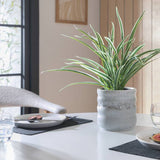 Argos Argos Home Artificial Green Spider Plant 38cm- Buy online at McGrocer