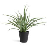 Argos Home artificial green spider plant 38cm (British brand)
