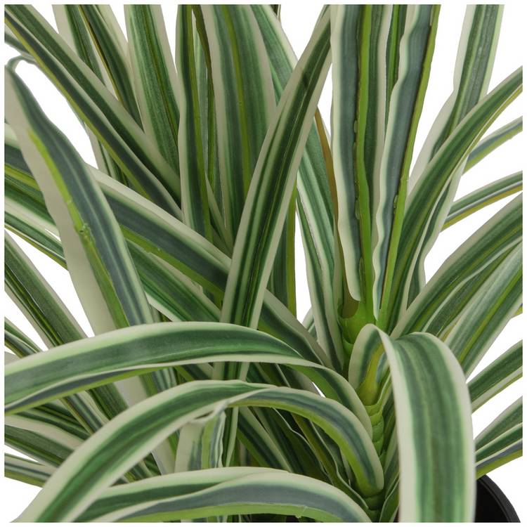 Argos Home artificial green spider plant 38cm (British brand)