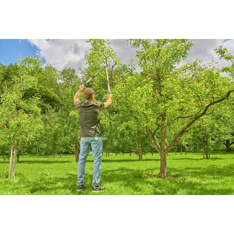 Gardena telescopic pruning lopper TeleCut Basic (British brand)