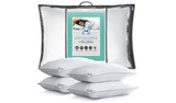 Sealy anti-allergy medium firm pillow 4-pack, UK version
