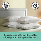 Sealy anti-allergy medium firm pillow 4-pack, UK version