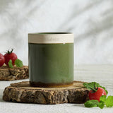 Argos Habitat Singlewick Candle - Tomato Leaf Scented Candle 20 Hour- Buy online at McGrocer