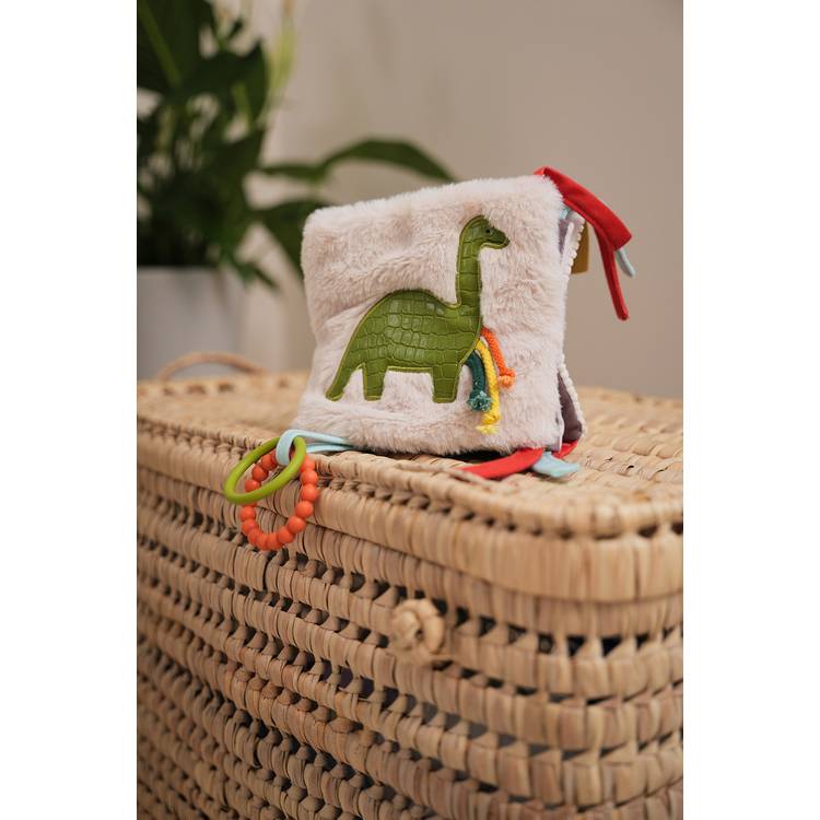 Little Big Friends Dino baby activity book, UK version