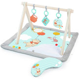 Bright Starts Winnie the Pooh activity gym with toys and mirror - British product