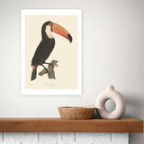 Argos East End Prints Toucan Art Print A3- Buy online at McGrocer