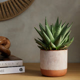 Habitat terracotta medium planter orange - British product