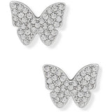 Argos DKNY Silver Coloured Crystal Butterfly Stud Earrings- Buy online at McGrocer