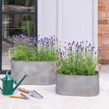 Argos Ivyline Outdoor Galvanised Rope Handle Trough Planters - Set of 2- Buy online at McGrocer