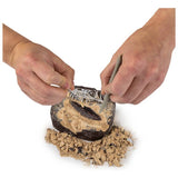 National Geographic Dino Fossil Dig Kit with T. Rex tooth (British brand)