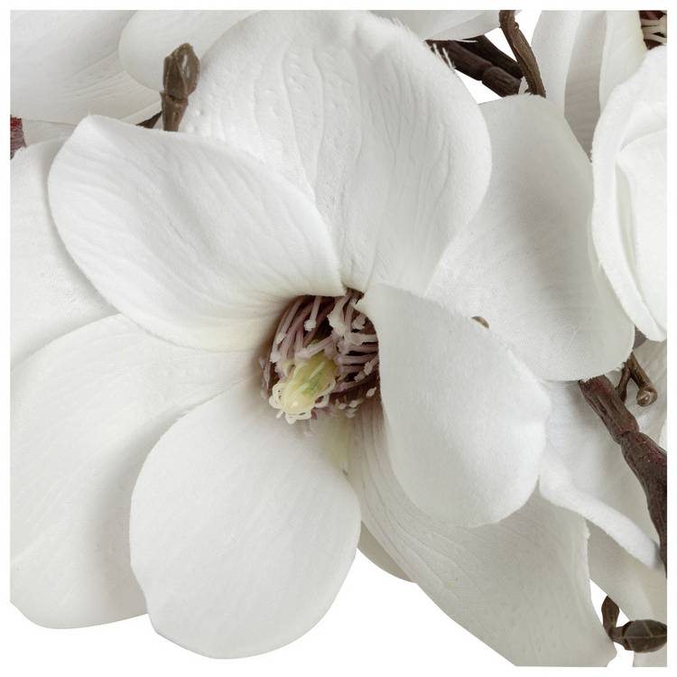 Argos Home artificial white magnolia stems 70cm (British brand)