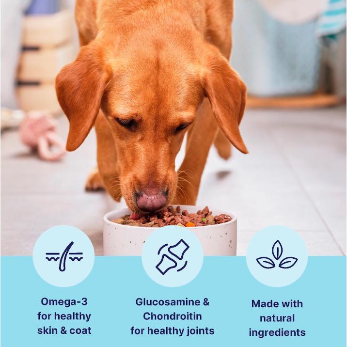 Tails.com Inner Vitality wet dog food 400g - British product