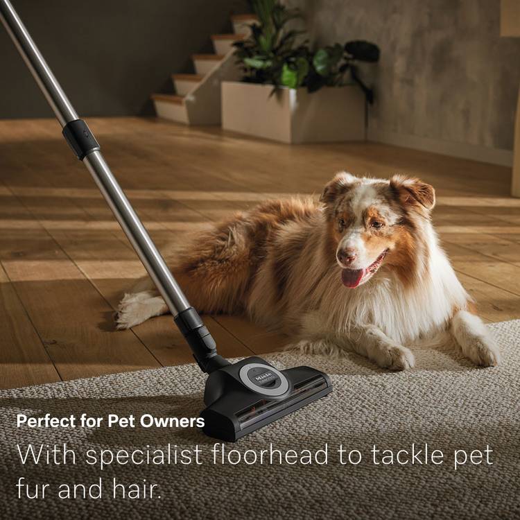 Miele Guard L1 Cat & Dog cylinder vacuum cleaner - British product