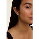 Ted Baker rose gold plated crystal heart stud earrings (British brand)