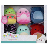 Squishmallows micro plush pack of 6 (British brand)