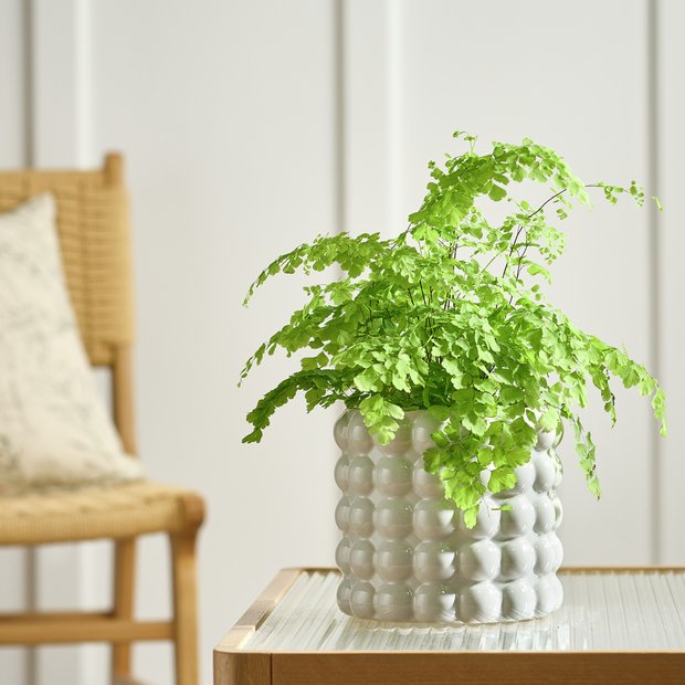 Habitat Bobble Large Planter grey 15.5cm by 16.5cm - British product