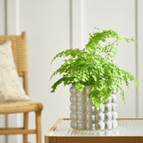 Habitat Bobble Large Planter grey 15.5cm by 16.5cm - British product